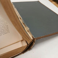Hawthorne The Marble Faun The Romance of Monte Beni Volume VI Riverside Ed. 1889