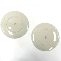 Vintage 5pc 10.5” Dinner Weatherly by Lenox Plates