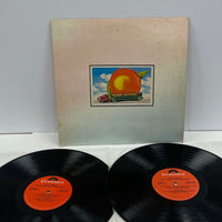 Classic Rock lp Bundle - Clean Copies!