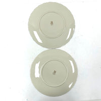 Vintage 5pc 10.5” Dinner Weatherly by Lenox Plates