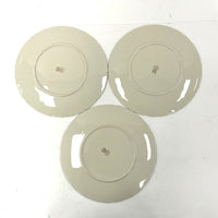 Vintage 5pc 10.5” Dinner Weatherly by Lenox Plates