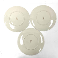 Vintage 5pc 10.5” Dinner Weatherly by Lenox Plates